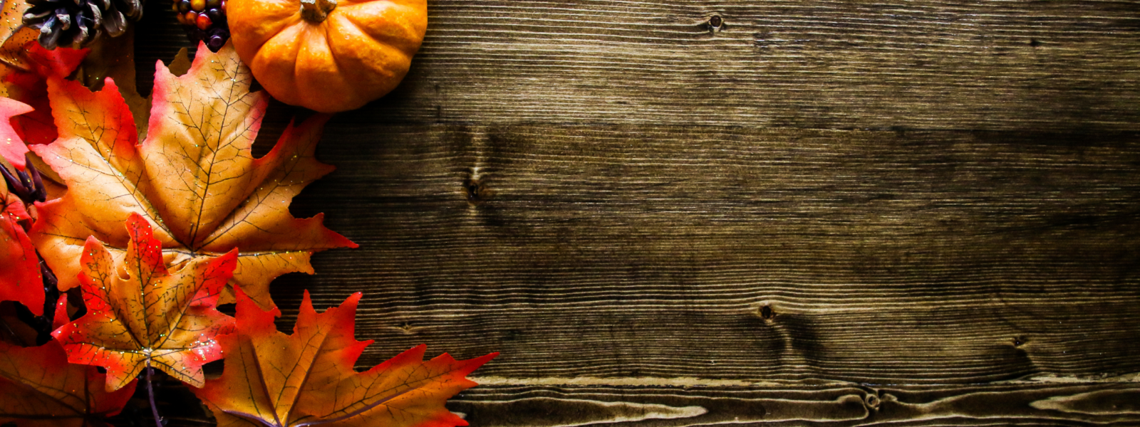 How to travel safely and have fun this Thanksgiving