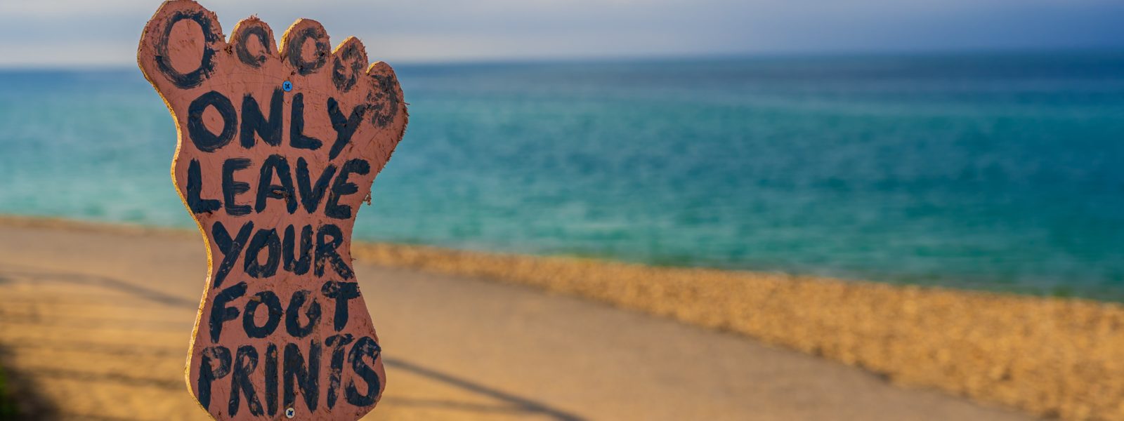 Ways to get a “greener” footprint while traveling